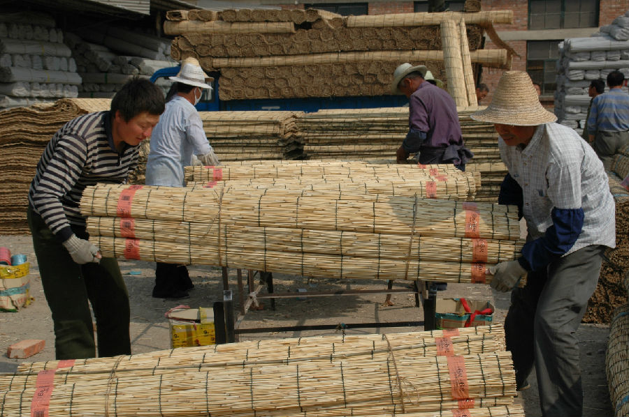16王石庄兴华苇帘工艺厂--庄以明摄.JPG