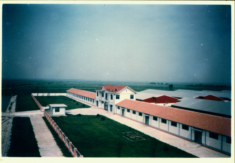 1999宁河原种猪场场景.jpg