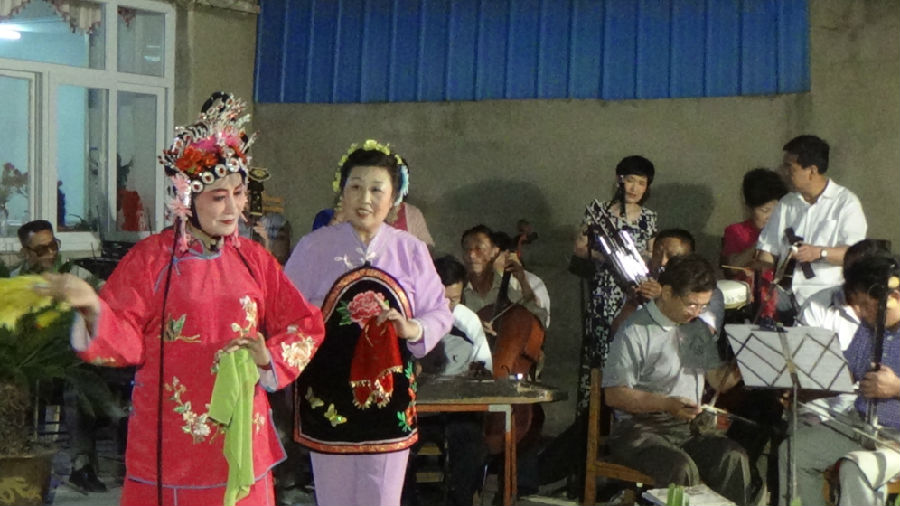 36.20150720,苗庄镇小茄村评剧班子文艺演出,摄影人单金波.JPG