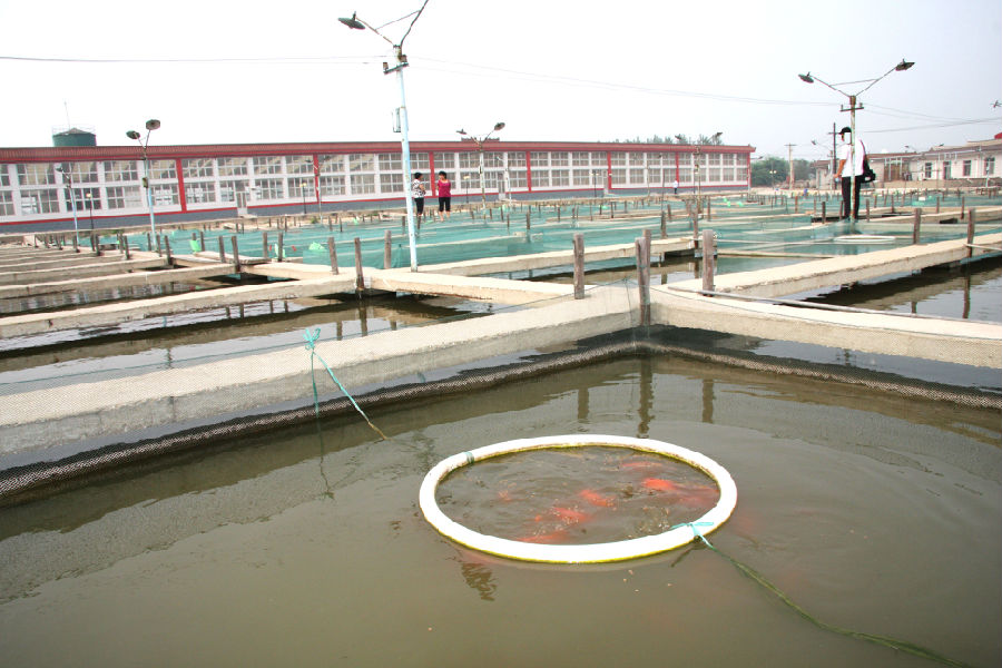 22.国家级换新鱼种场.JPG