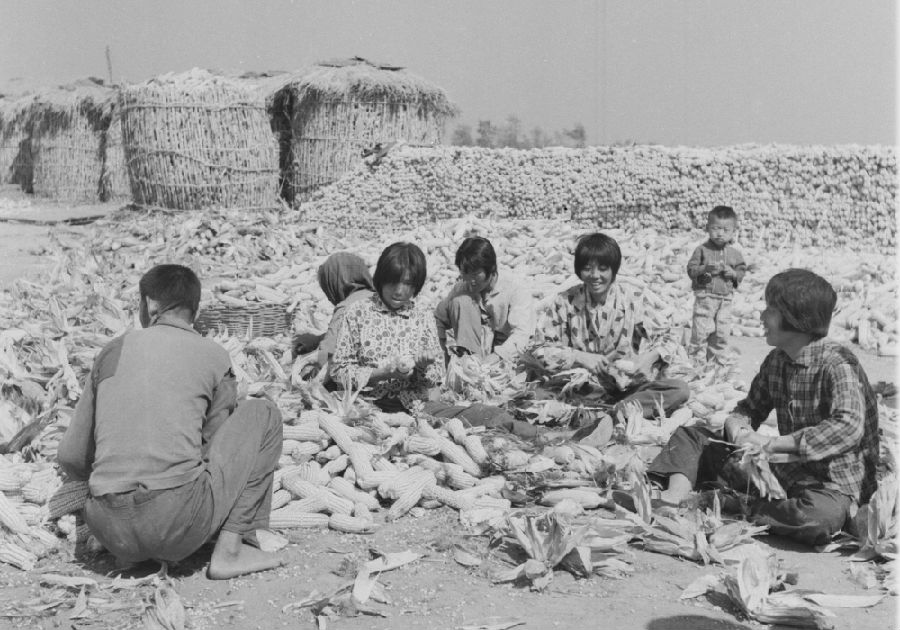 26.家庭妇女在场上剥棒子.jpg