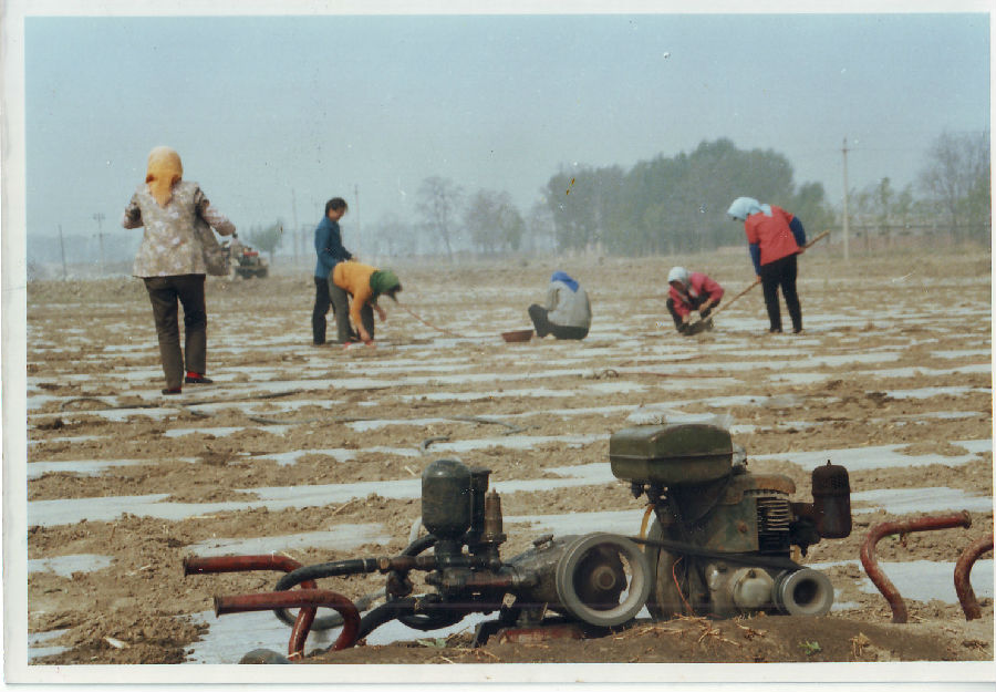 48.田间劳作(苫薄膜)任永利摄于1997年.jpg